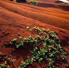 E3 2021：《微软飞行模拟》7月27日登陆XSX＆S平台