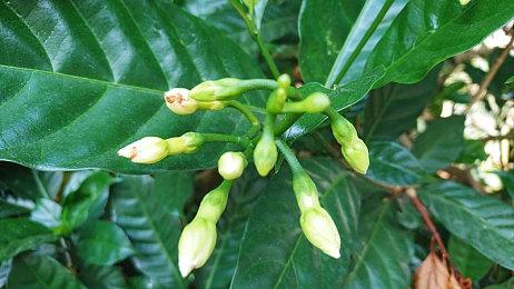 《战国无双5》Steam平台预购开启 将于7月27日解锁